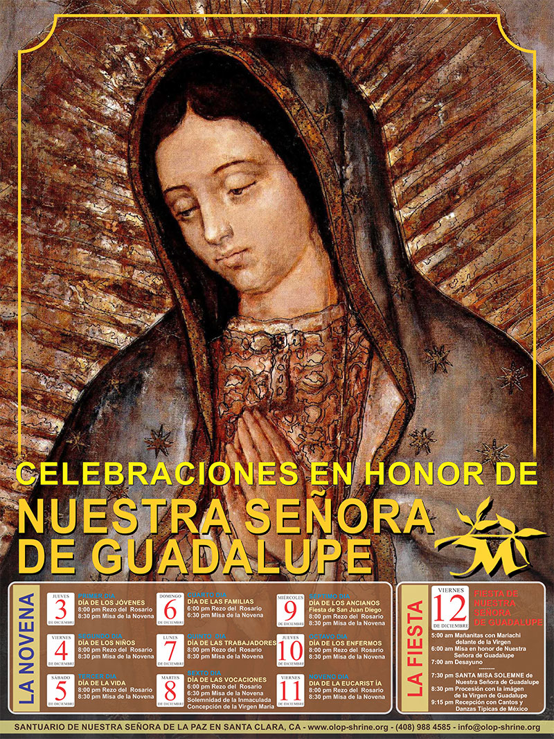 Feast-of-Our-Lady-of-Guadalupe-LR